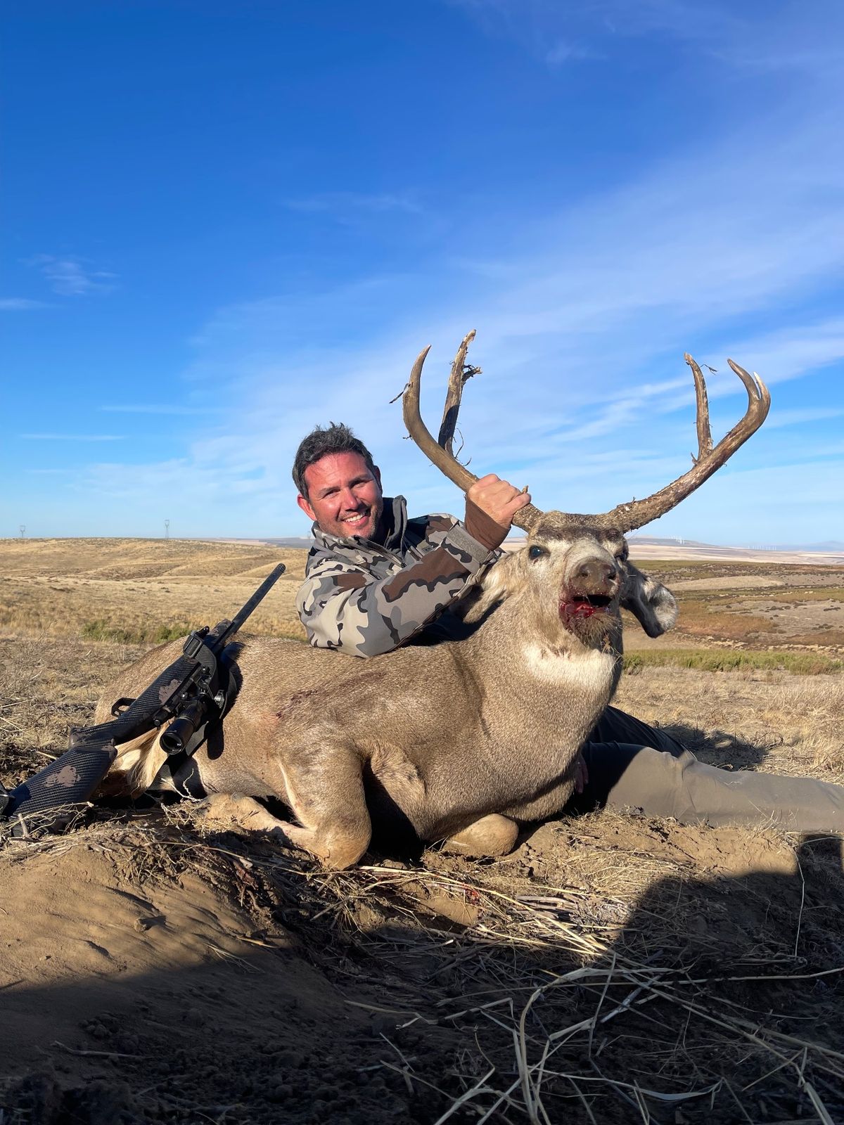 Mule Deer at Eagle Lakes Ranch Lodge