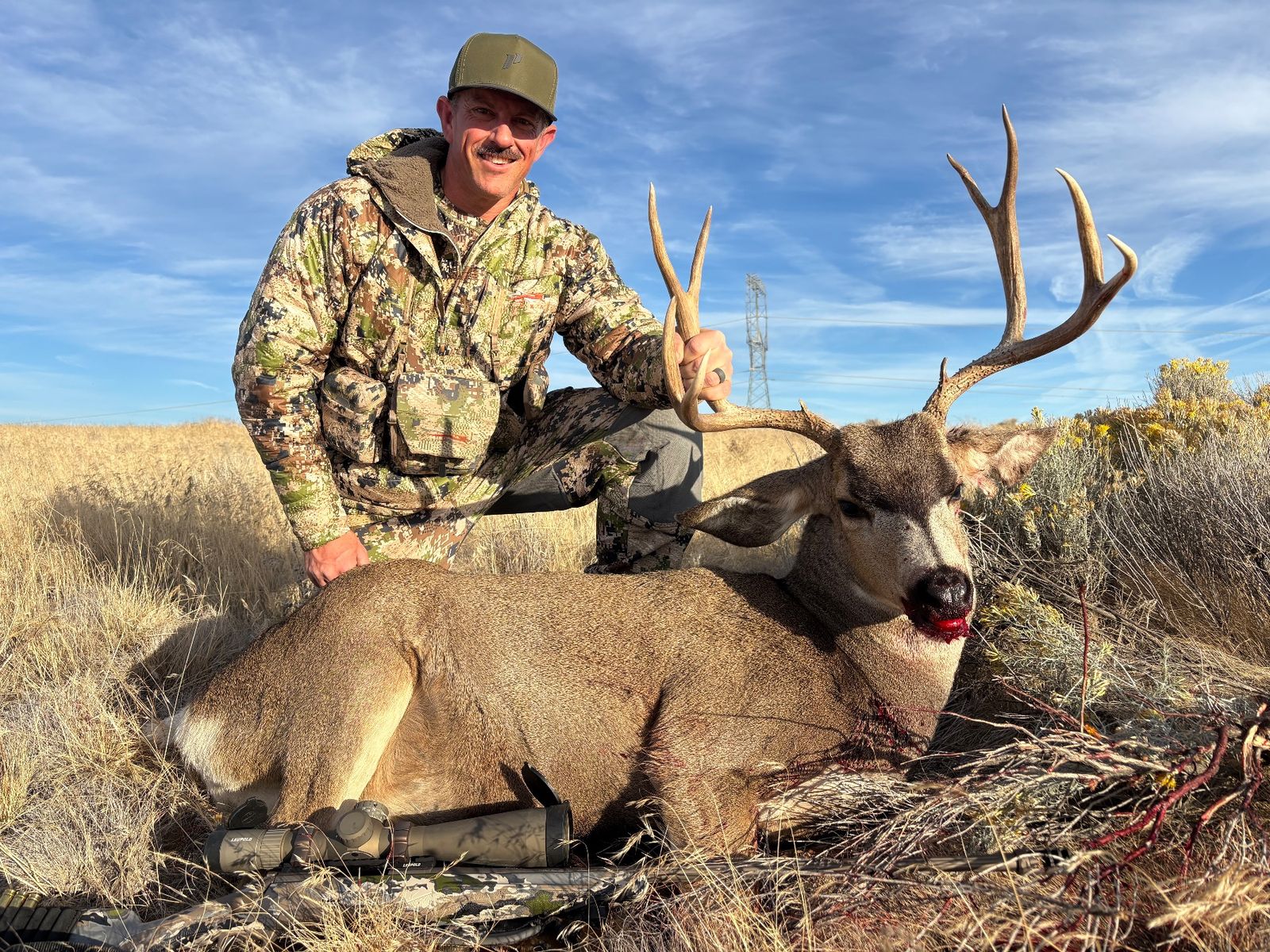 Mule Deer at Eagle Lakes Ranch Lodge