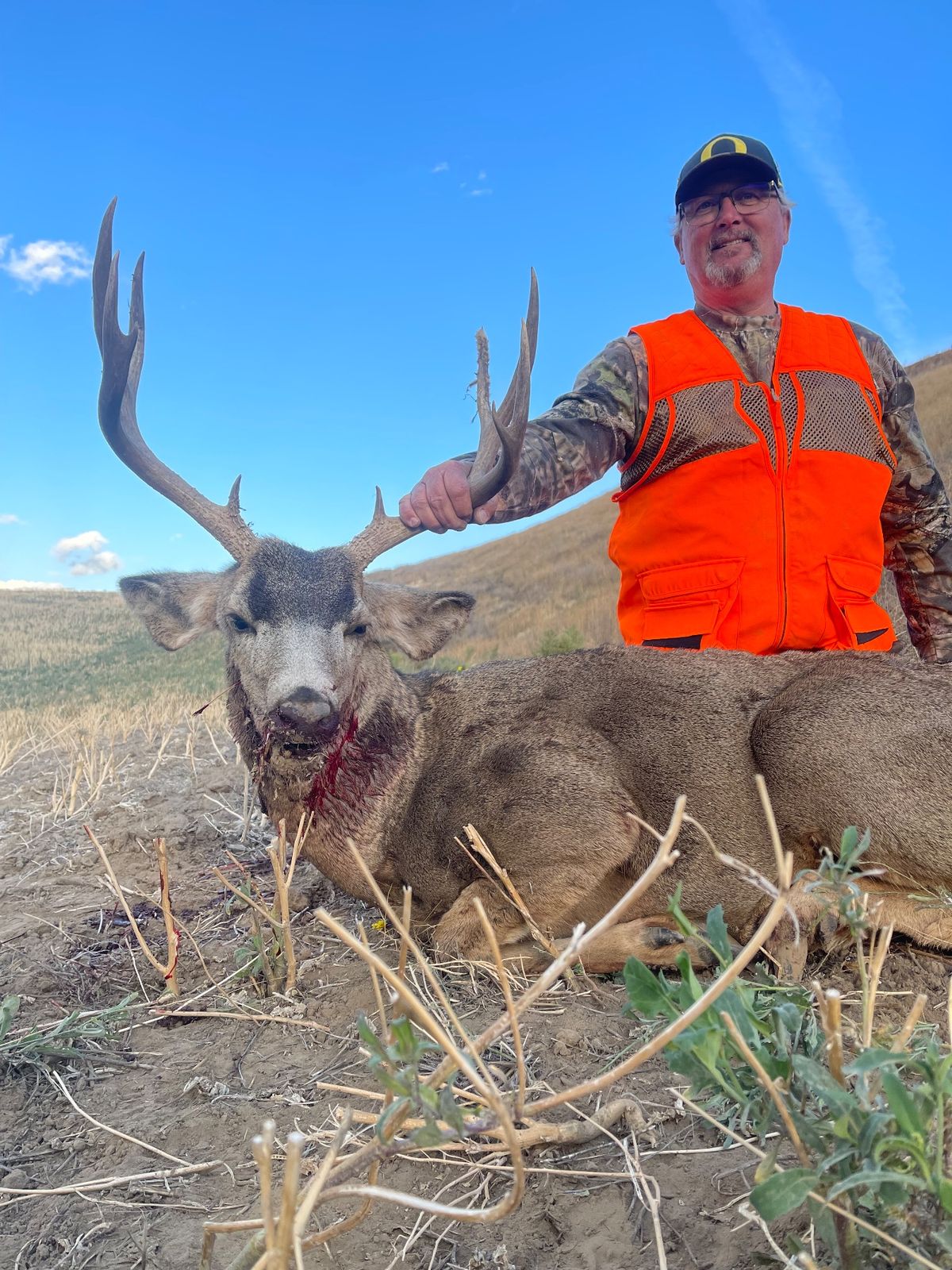 Mule Deer at Eagle Lakes Ranch Lodge