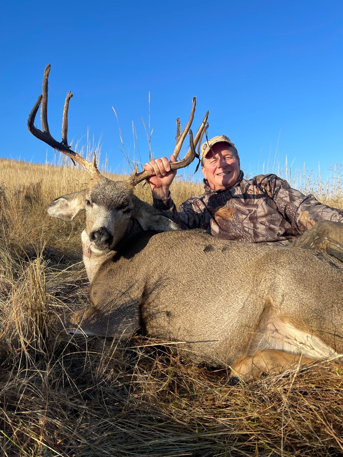 Mule Deer at Eagle Lakes Ranch Lodge