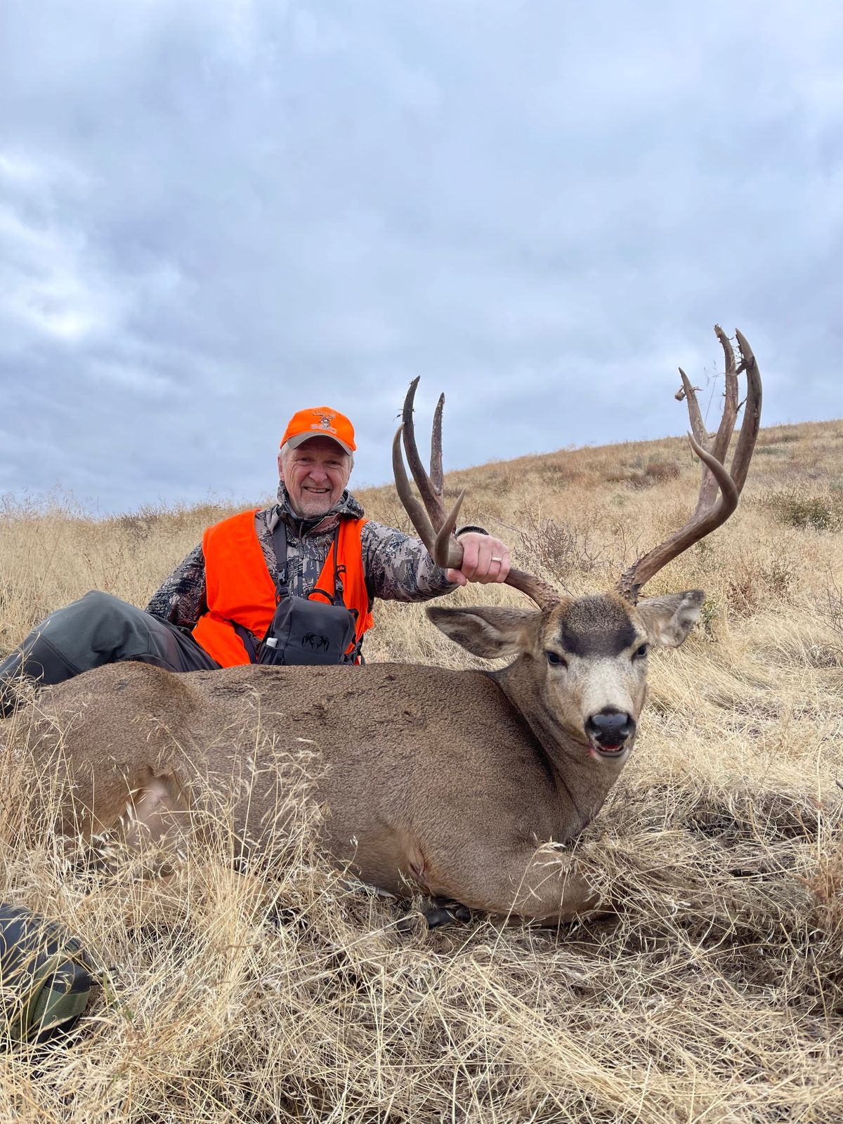Mule Deer at Eagle Lakes Ranch Lodge