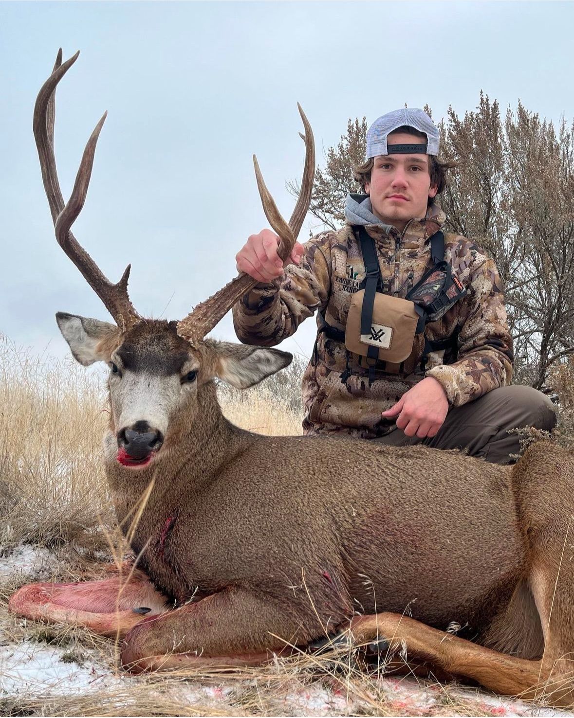 Mule Deer at Eagle Lakes Ranch Lodge