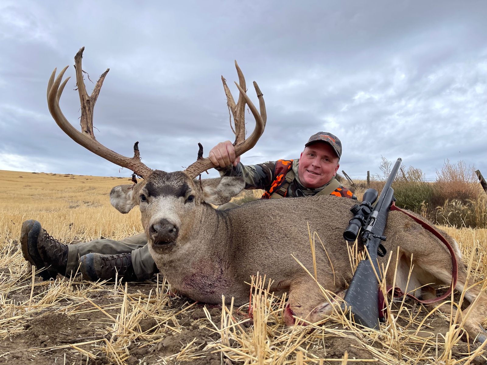 Mule Deer at Eagle Lakes Ranch Lodge