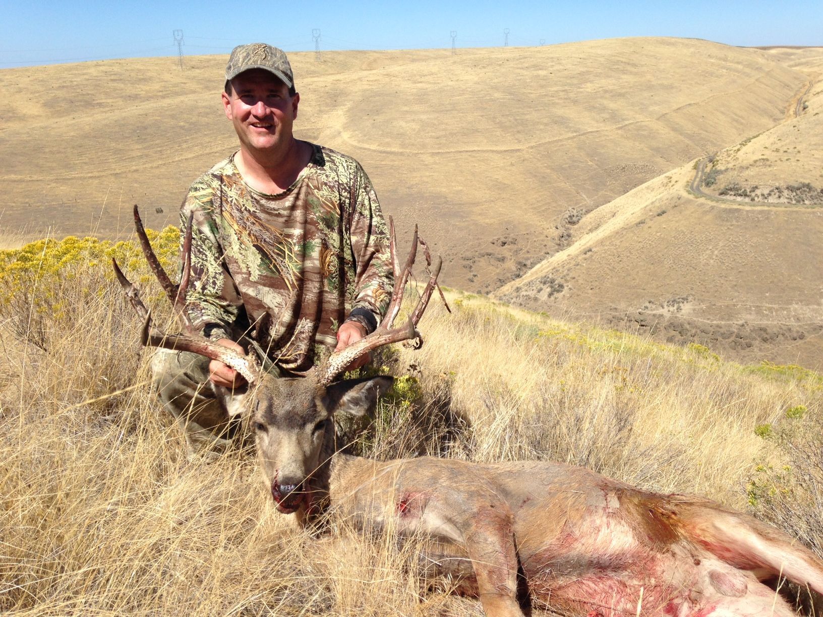 Mule Deer at Eagle Lakes Ranch Lodge