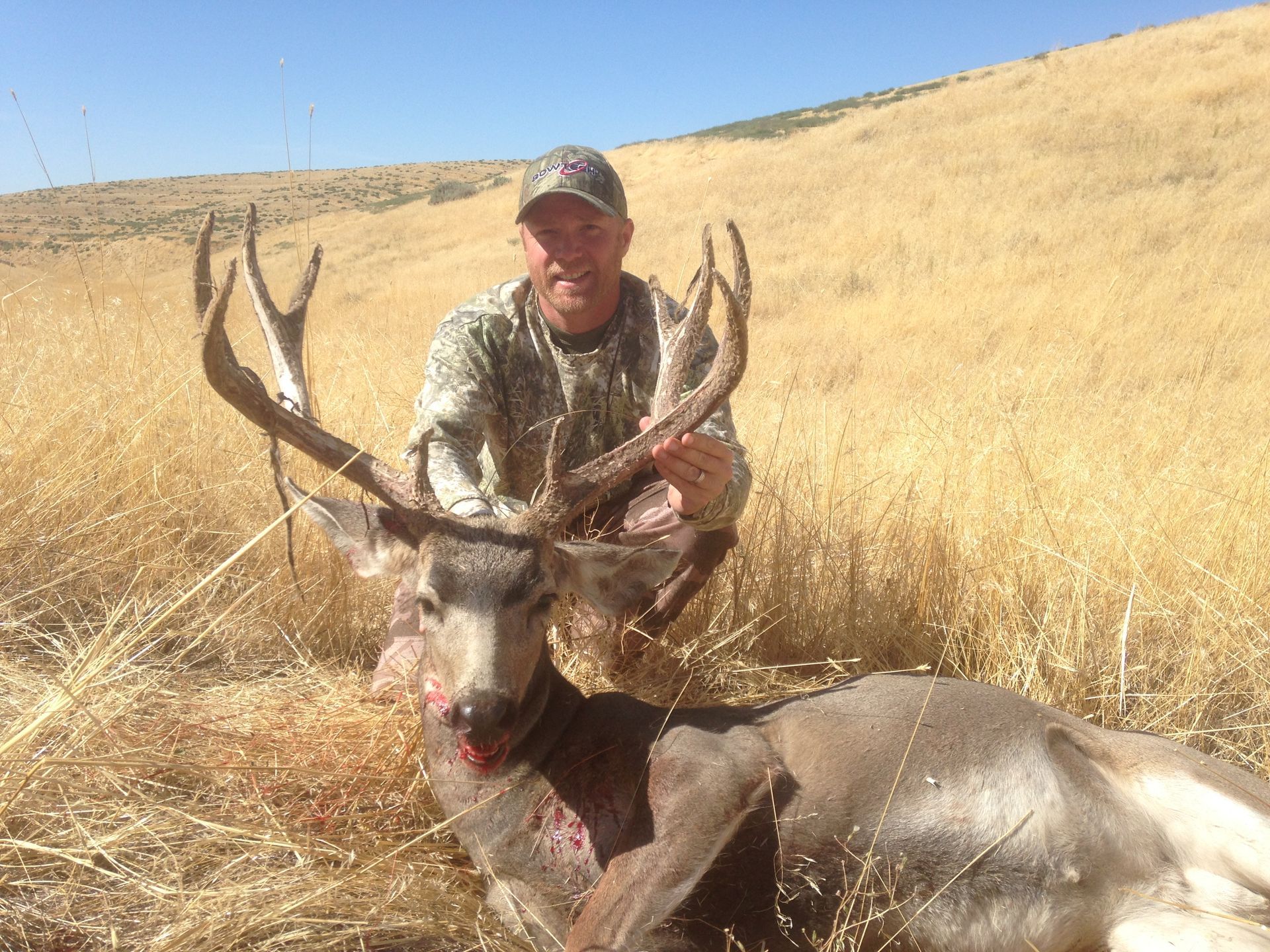 Mule Deer at Eagle Lakes Ranch Lodge