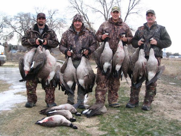 Goose at Eagle Lakes Ranch Lodge